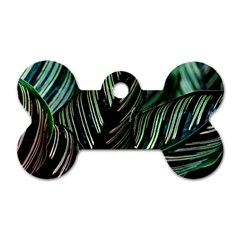 Calathea Leaves Strippe Line Dog Tag Bone (Two Sides)