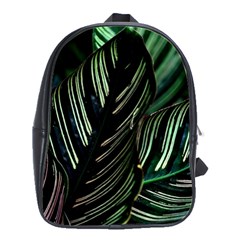 Calathea Leaves Strippe Line School Bag (Large)