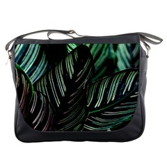 Calathea Leaves Strippe Line Messenger Bag by Ravend