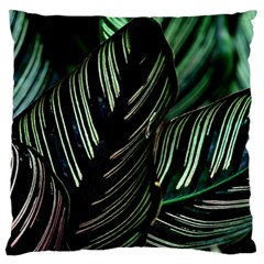 Calathea Leaves Strippe Line Large Premium Plush Fleece Cushion Case (one Side) by Ravend