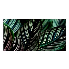 Calathea Leaves Strippe Line Satin Shawl 45  X 80 