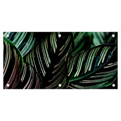 Calathea Leaves Strippe Line Banner And Sign 6  X 3  by Ravend