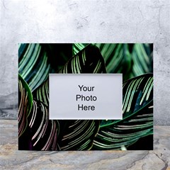 Calathea Leaves Strippe Line White Tabletop Photo Frame 4 x6  by Ravend