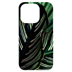 Calathea Leaves Strippe Line Iphone 14 Pro Black Uv Print Case by Ravend