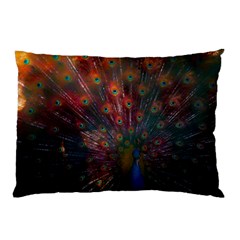 Peacock Feather Bird Pillow Case (two Sides)