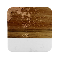 Peacock Feather Bird Marble Wood Coaster (square)