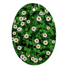 Daisies Clovers Lawn Digital Drawing Background Ornament (oval) by Ravend