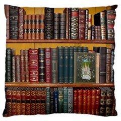 Books-library-bookshelf-bookshop Standard Premium Plush Fleece Cushion Case (two Sides) by Ravend