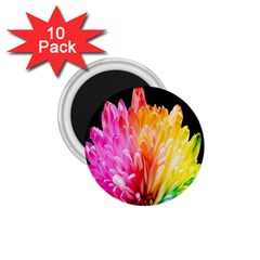 Abstract, Amoled, Back, Flower, Green Love, Orange, Pink, 1 75  Magnets (10 Pack)  by nateshop
