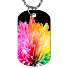 Abstract, Amoled, Back, Flower, Green Love, Orange, Pink, Dog Tag (one Side) by nateshop