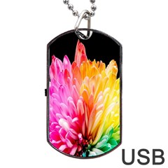 Abstract, Amoled, Back, Flower, Green Love, Orange, Pink, Dog Tag Usb Flash (one Side) by nateshop