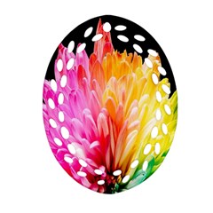 Abstract, Amoled, Back, Flower, Green Love, Orange, Pink, Oval Filigree Ornament (two Sides) by nateshop