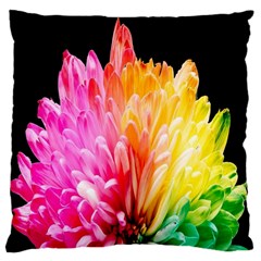 Abstract, Amoled, Back, Flower, Green Love, Orange, Pink, Large Cushion Case (two Sides) by nateshop