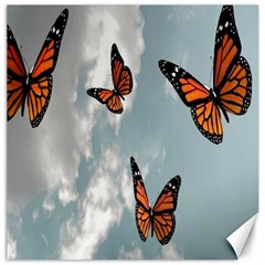 Aesthetic Butterfly , Butterflies, Nature, Canvas 20  X 20  by nateshop