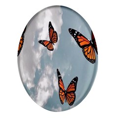 Aesthetic Butterfly , Butterflies, Nature, Oval Glass Fridge Magnet (4 Pack)