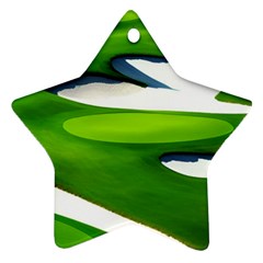 Golf Course Par Green Star Ornament (two Sides)