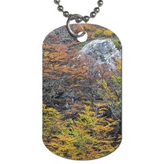 Wilderness Palette, Tierra Del Fuego Forest Landscape, Argentina Dog Tag (two Sides) by dflcprintsclothing