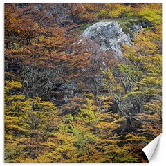 Wilderness Palette, Tierra Del Fuego Forest Landscape, Argentina Canvas 16  X 16  by dflcprintsclothing