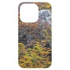 Wilderness Palette, Tierra Del Fuego Forest Landscape, Argentina Iphone 14 Pro Black Uv Print Case by dflcprintsclothing