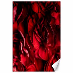 Followers,maroon,rose,roses Canvas 12  X 18 