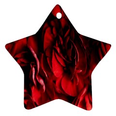 Followers,maroon,rose,roses Star Ornament (two Sides) by nateshop