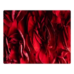 Followers,maroon,rose,roses Premium Plush Fleece Blanket (large)