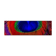 Peacock-feathers,blue 1 Sticker (bumper) by nateshop