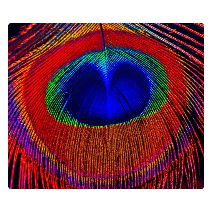 Peacock-feathers,blue 1 Two Sides Premium Plush Fleece Blanket (Small)