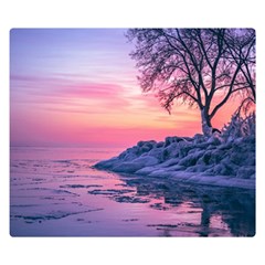 Tree Nature Plant Outdoors Ice Toronto Scenery Snow Two Sides Premium Plush Fleece Blanket (small) by uniart180623