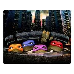 Teenage Mutant Ninja Turtles Leonardo Raphael Michelangelo Donatello Two Sides Premium Plush Fleece Blanket (large)