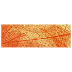 Abstract Texture Of Colorful Bright Pattern Transparent Leaves Orange And Yellow Color Banner And Sign 9  X 3  by Grandong