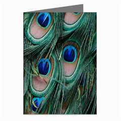 Peacock-feathers,blue2 Greeting Cards (pkg Of 8) by nateshop