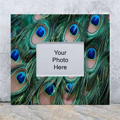 Peacock-feathers,blue2 White Wall Photo Frame 5  X 7  by nateshop