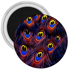 Peacock-feathers,blue,yellow 3  Magnets by nateshop