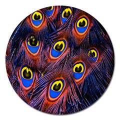 Peacock-feathers,blue,yellow Magnet 5  (round) by nateshop