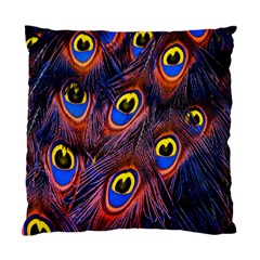 Peacock-feathers,blue,yellow Standard Cushion Case (one Side) by nateshop