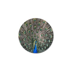 Peacock-feathers1 Golf Ball Marker by nateshop