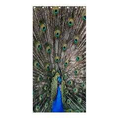 Peacock-feathers1 Shower Curtain 36  X 72  (stall)  by nateshop