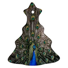 Peacock-feathers1 Ornament (Christmas Tree) 