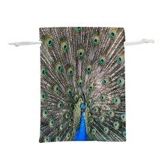 Peacock-feathers1 Lightweight Drawstring Pouch (l) by nateshop