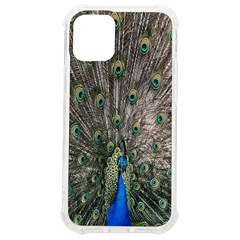 Peacock-feathers1 Iphone 12 Mini Tpu Uv Print Case	 by nateshop