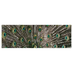 Peacock-feathers1 Banner And Sign 12  X 4  by nateshop