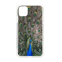 Peacock-feathers1 Iphone 11 Tpu Uv Print Case by nateshop