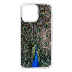 Peacock-feathers1 Iphone 14 Pro Max Tpu Uv Print Case by nateshop