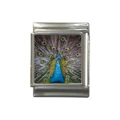 Peacock-feathers2 Italian Charm (13mm)