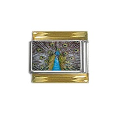 Peacock-feathers2 Gold Trim Italian Charm (9mm)