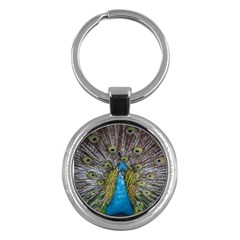 Peacock-feathers2 Key Chain (Round)