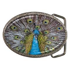 Peacock-feathers2 Belt Buckles by nateshop