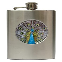 Peacock-feathers2 Hip Flask (6 oz)