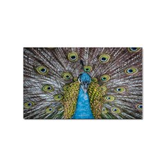 Peacock-feathers2 Sticker Rectangular (10 Pack) by nateshop